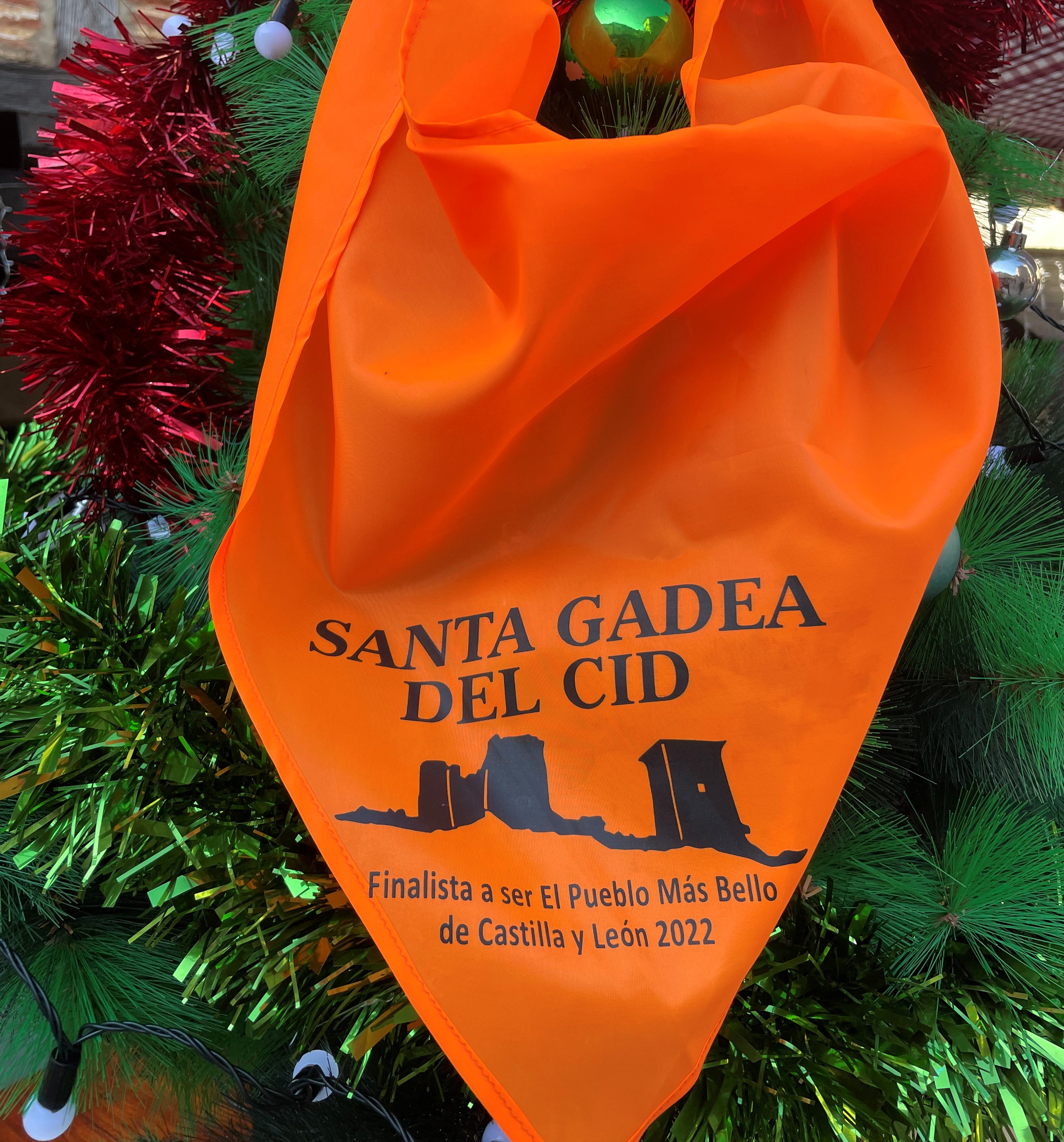 Gala Final